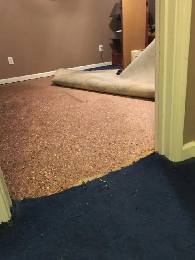 Carpet pad removal revealing water damage during Water Mitigation Services in Newark
