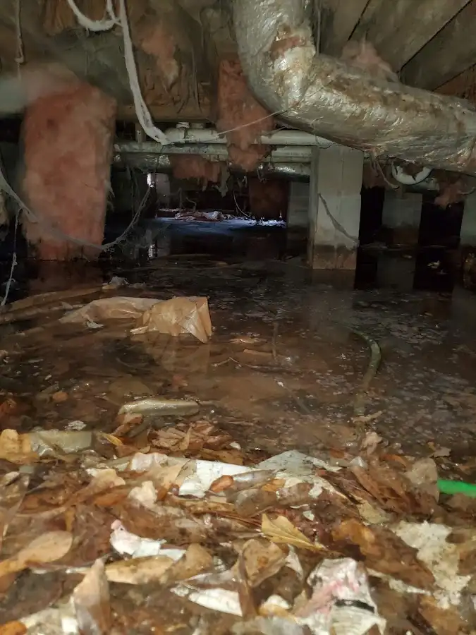 Crawl space flood assessment for Leak Detection & Repair in Newark