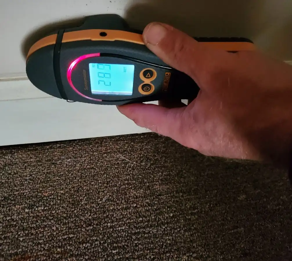 Moisture detection at baseboard during Mold Inspection & Testing in Newark