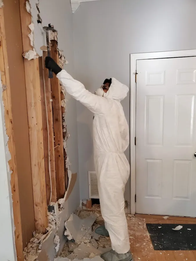 Mold Remediation & Removal in Newark, NJ